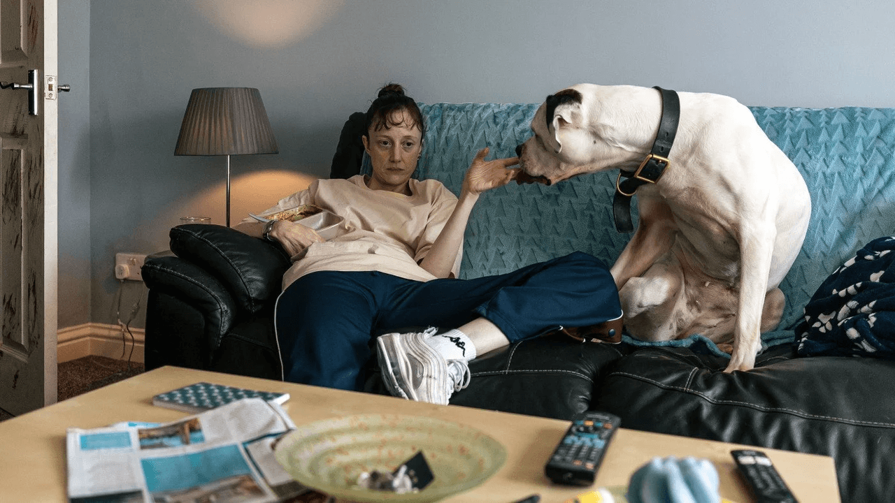 Fido Awards: British Indie ‘Dragonfly’ Is Best In Show At The Canine Oscars