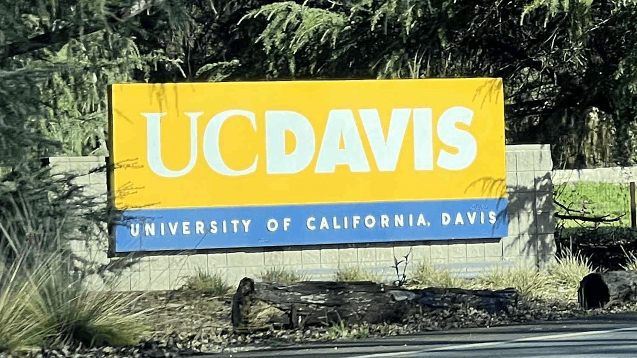 20-Year-Old College Student Dies After Being Struck by Car While Biking Near Campus