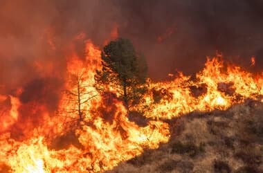 Global warming pushing planet to brink, UN chief warns