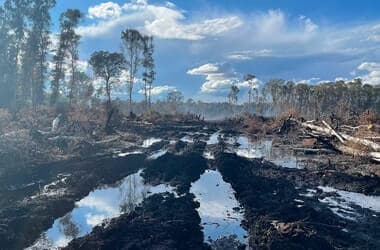 Rain compounds efforts to control Holme Fen fire